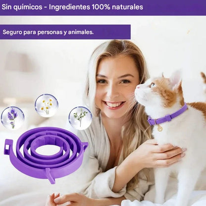 Collar Calmante Natural para Mascotas – Reduce el Estrés y la Ansiedad sin Químicos