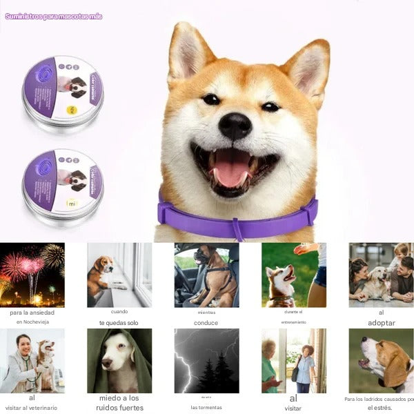 Collar Calmante Natural para Mascotas – Reduce el Estrés y la Ansiedad sin Químicos