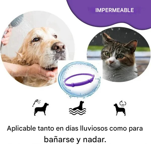 Collar Calmante Natural para Mascotas – Reduce el Estrés y la Ansiedad sin Químicos