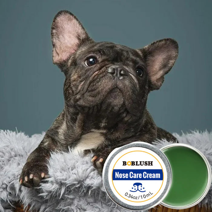 Protege su olfato con amor: Cuida su nariz como él cuida de ti