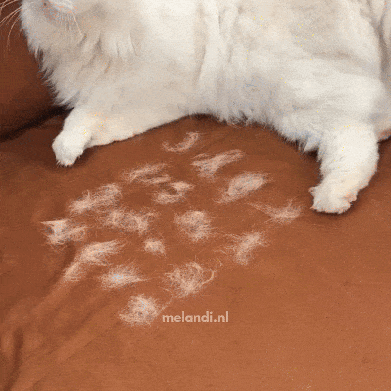 PELUX™ | LA SOLUCIÓN PARA UN AMBIENTE LIMPIO Y SIN PELO 🐾 2X1